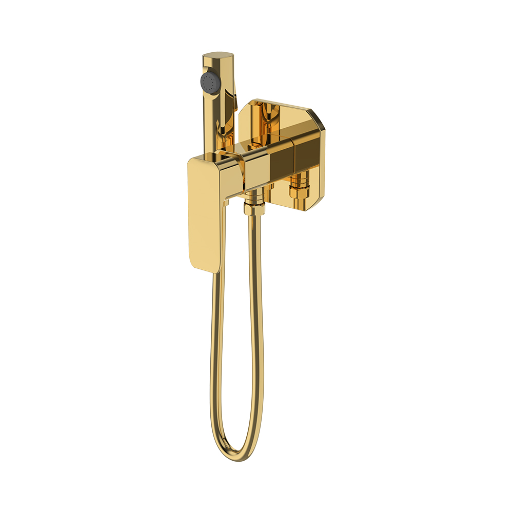 Bidet misturador com spray-escovado ouro